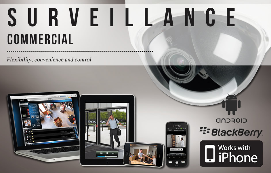 Business Video Surveillance Business Video Surveillance